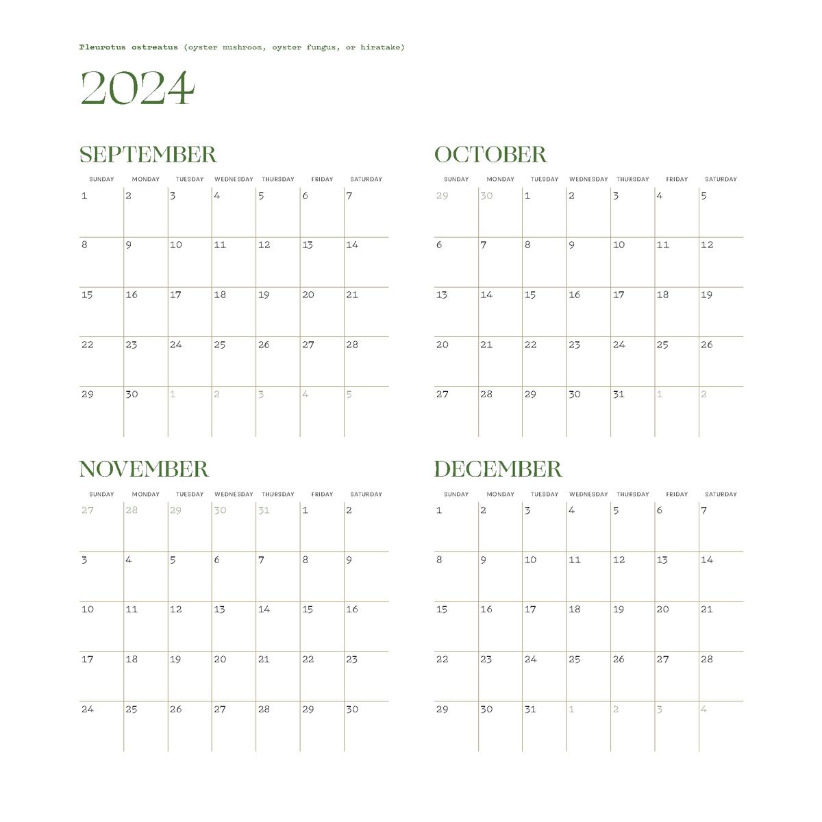 2025 Deep Dark Forest Wall Calendar by Julya Hajnoczky | Zenith