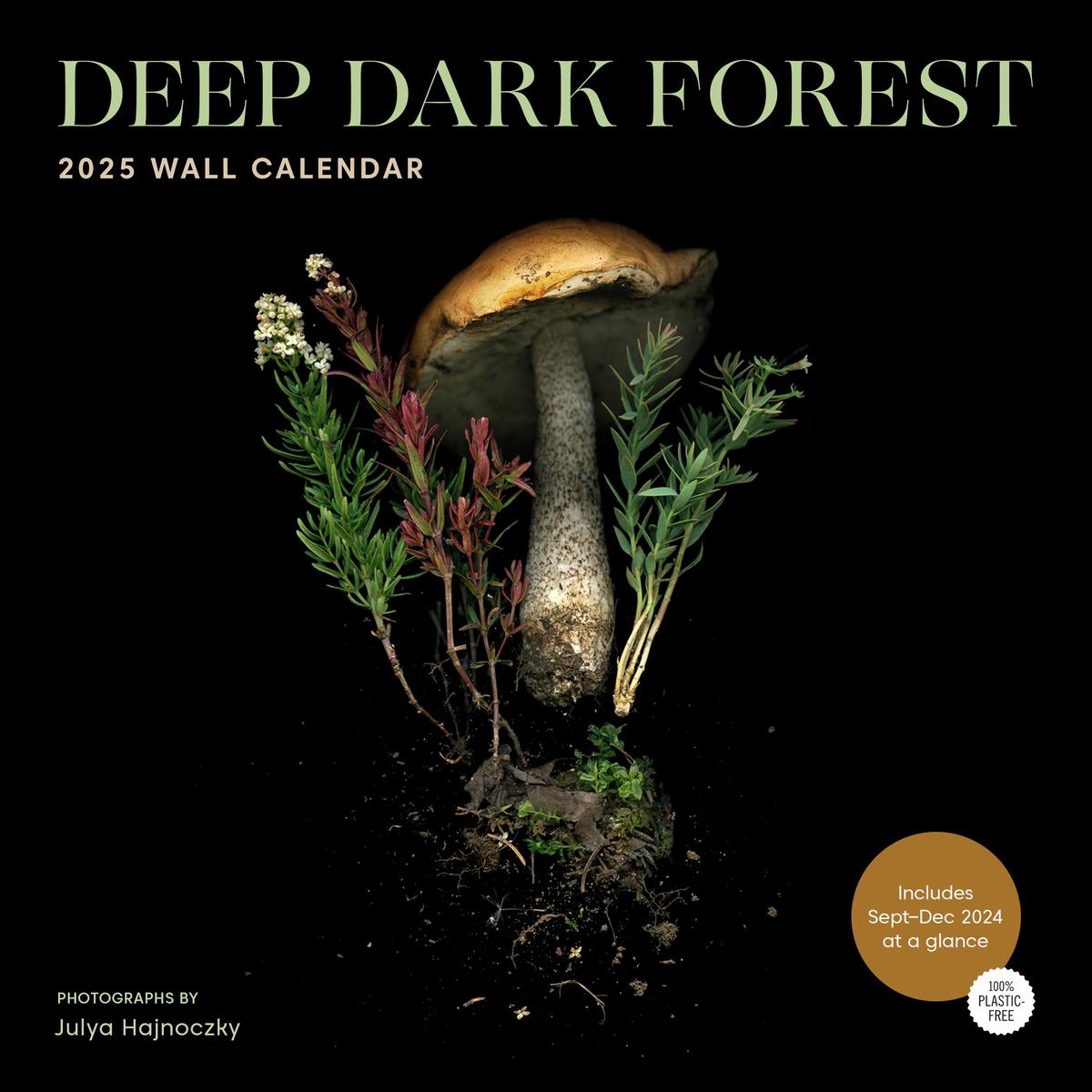 2025 Deep Dark Forest Wall Calendar by Julya Hajnoczky | Zenith