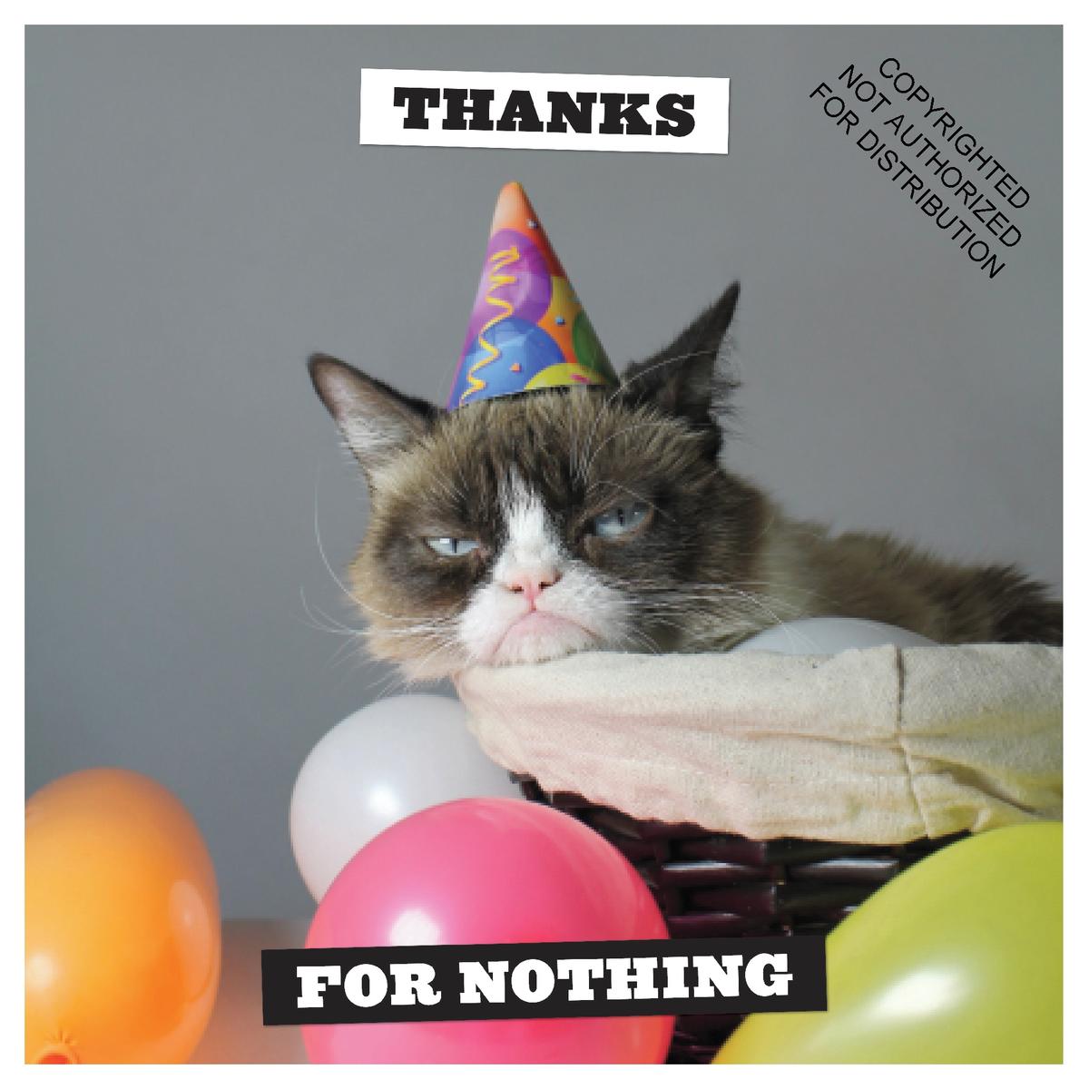 2025 Grumpy Cat Wall Calendar by Chronicle Books | Bolen Books, image size:1200x1200