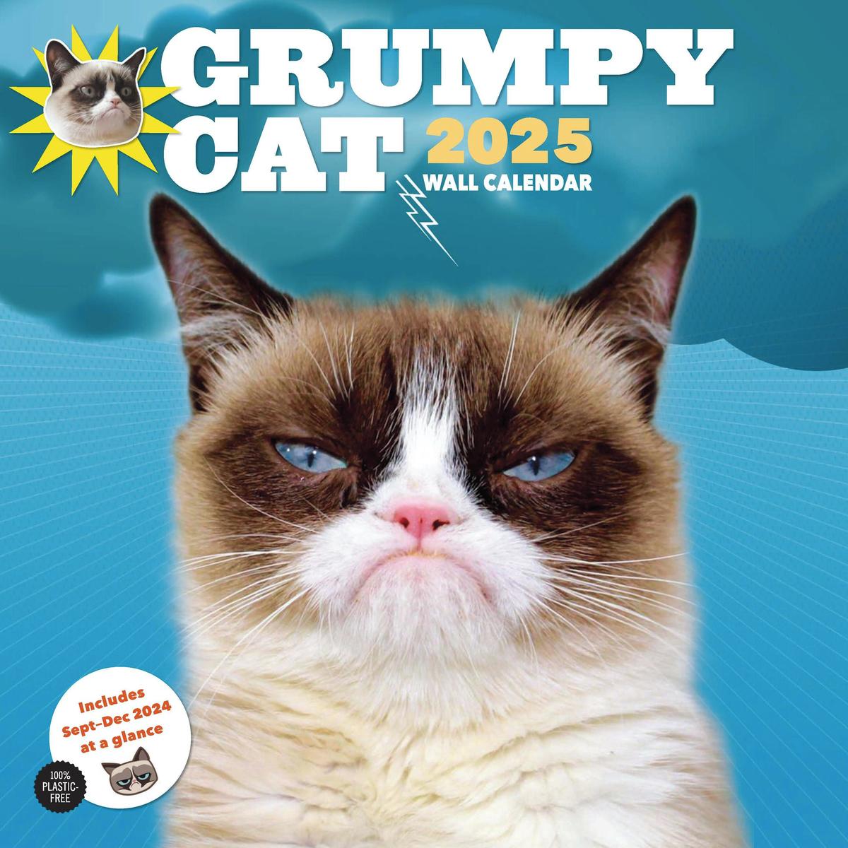 Grumpy Cat Bureaublad My 