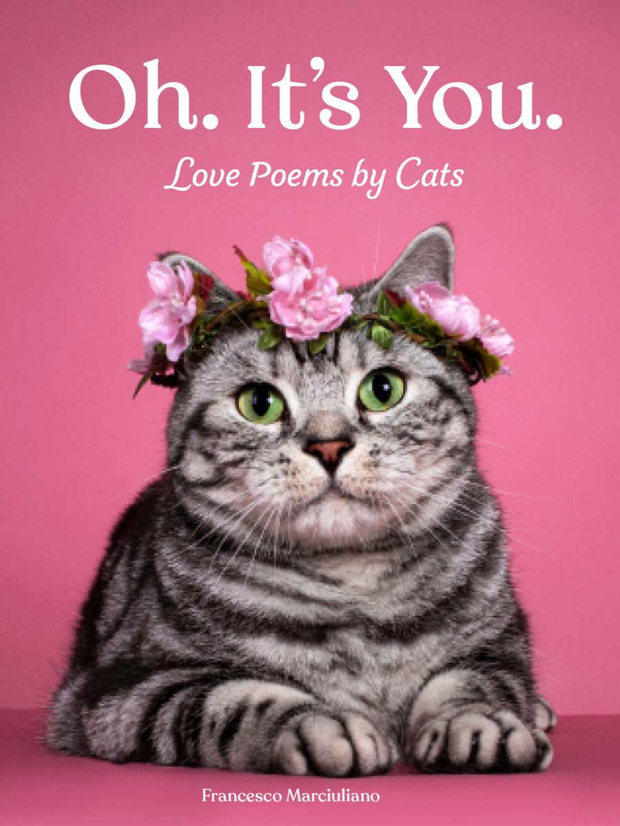 Oh. It's You. - Love Poems by Cats
