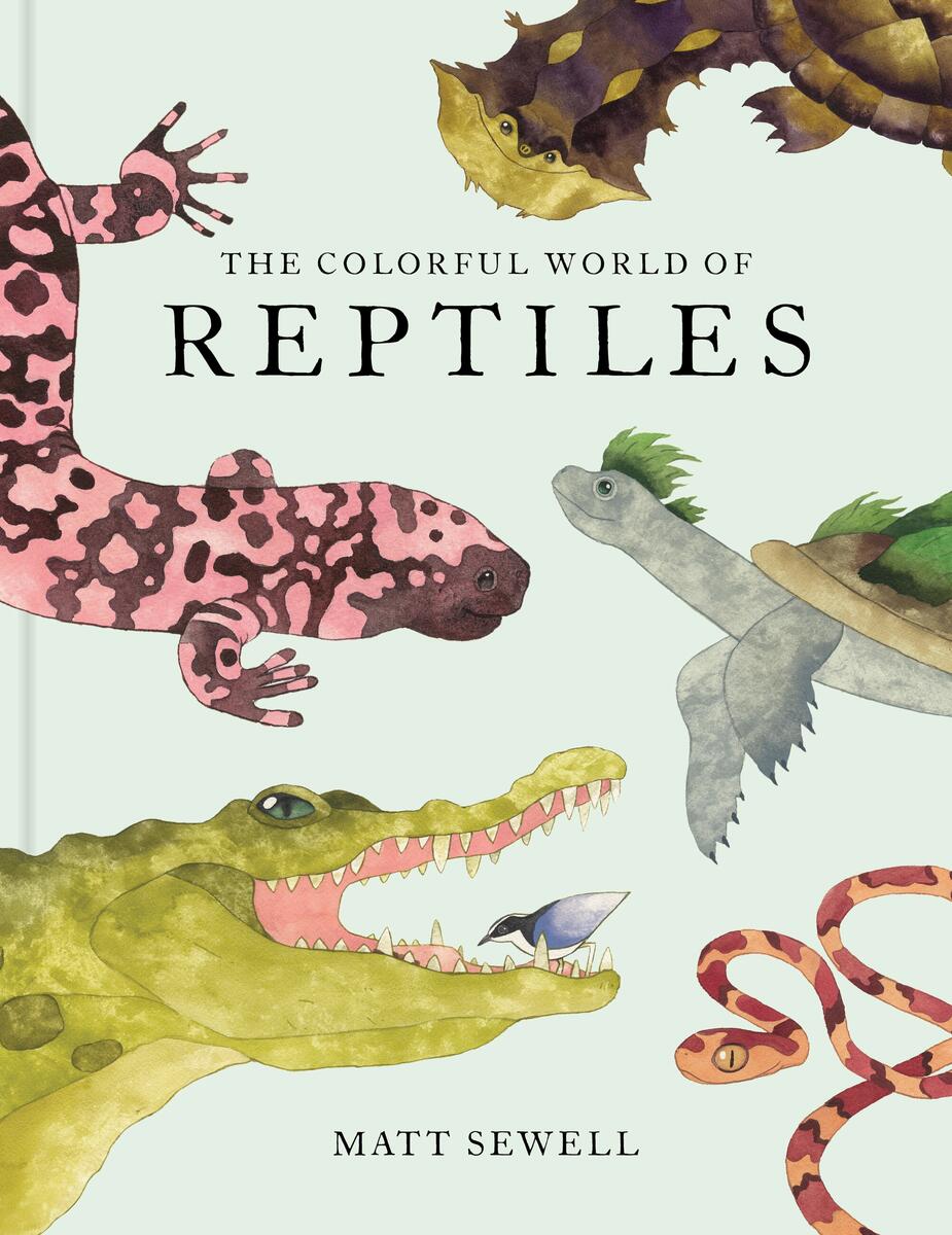 Colorful World of Reptiles