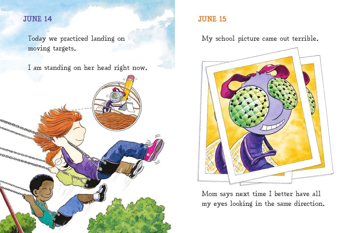 Diary of a Fly by Doreen Cronin, Harry Bliss | The King's English