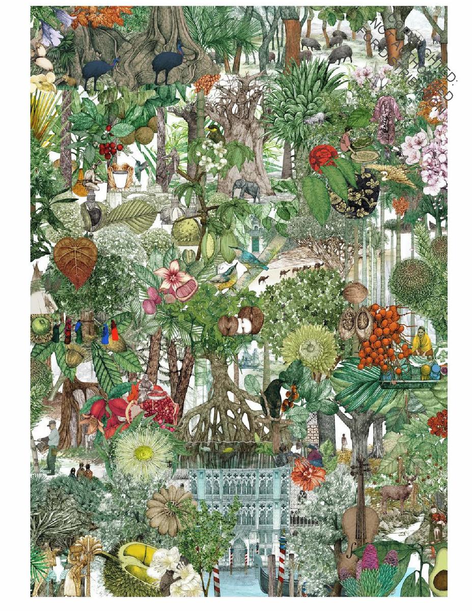 Around the World in 50 Trees 1000 Piece Puzzle by Jonathan