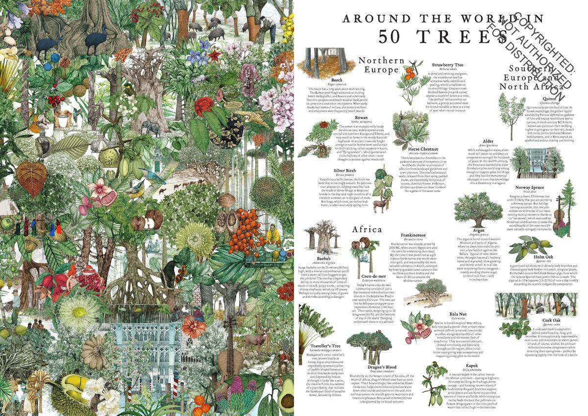 PLANTES SAUVAGES 256イラスト 洋書 Queer Plants Colouring Zine. Supporting Solidarity Apothecary