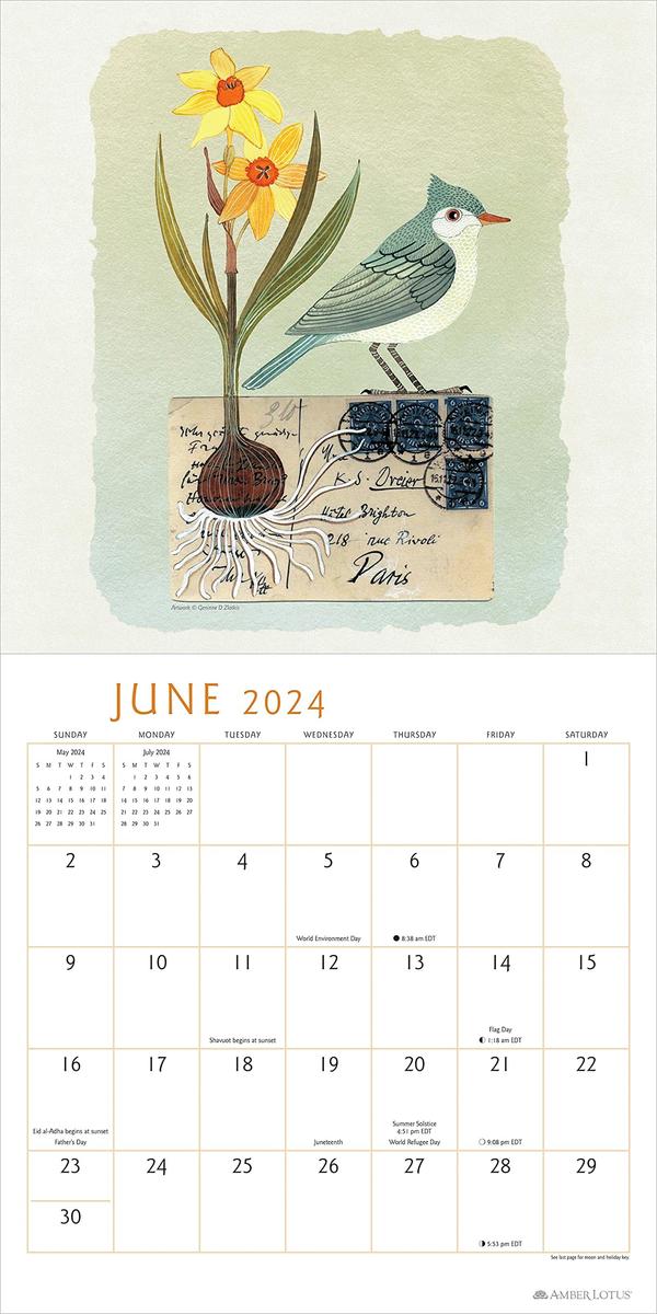 2024 Feathered Friends Wall Calendar by Geninne D Zlatkis, Amber