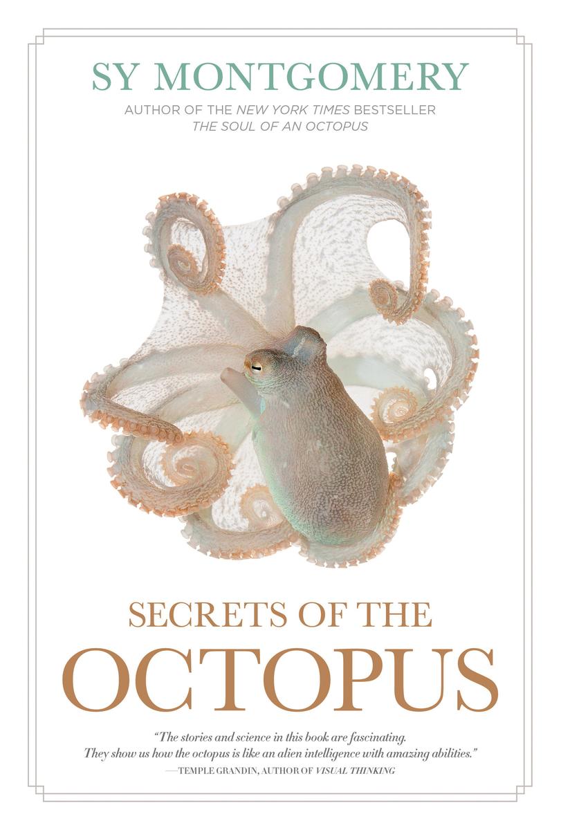 Secrets of the Octopus - 