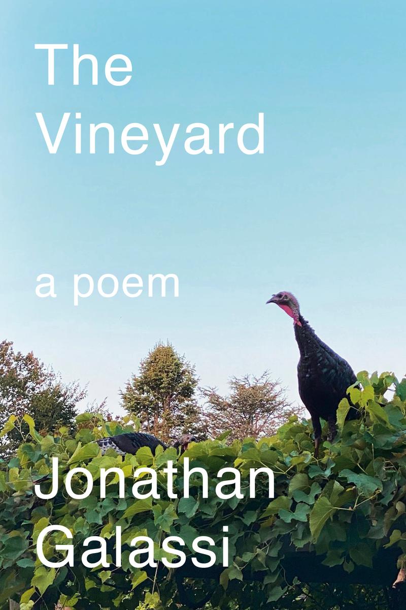 The Vineyard: A Poem