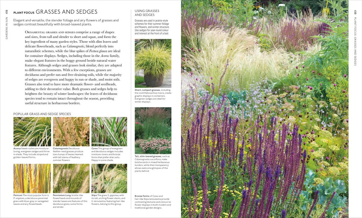 Encyclopedia of Garden Plants for Every Location by Dk | Ivy's Bookshop