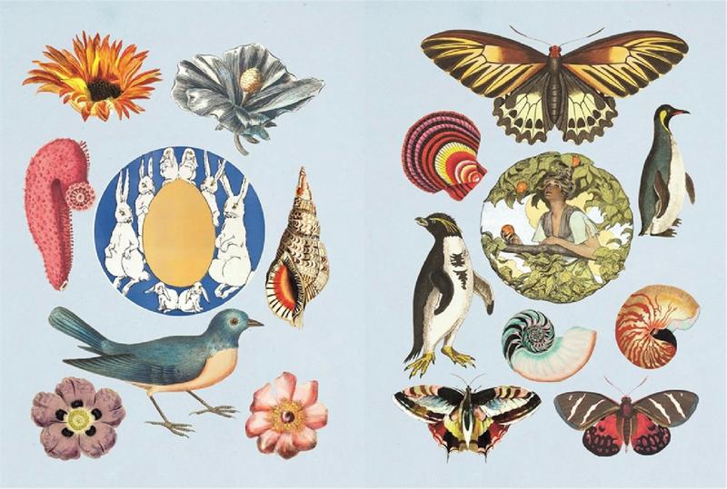 The Antiquarian Sticker Book Over 1,000 Exquisite Victorian