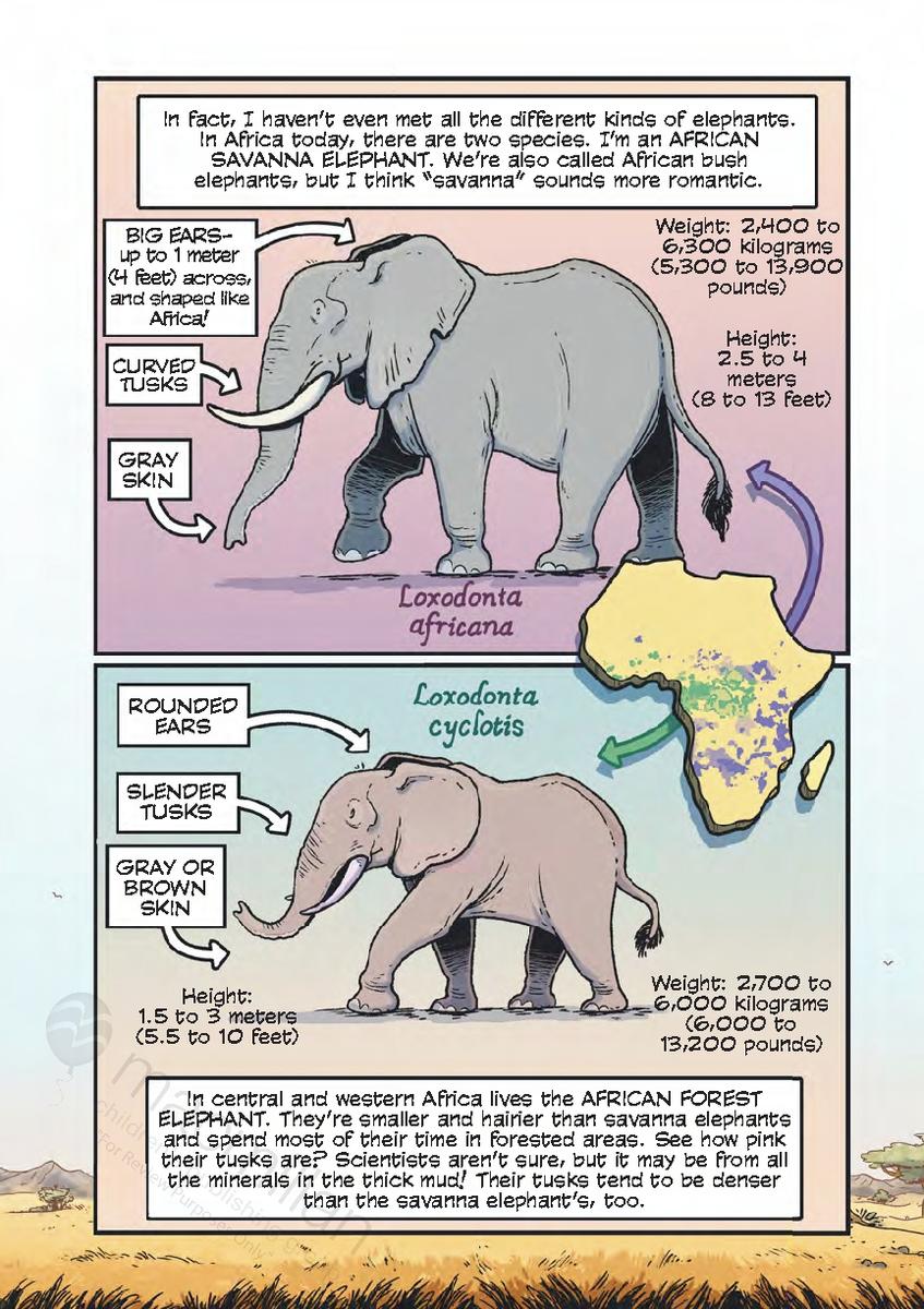 Science Comics by Jason Viola, Falynn Koch | Analog Books Inc.