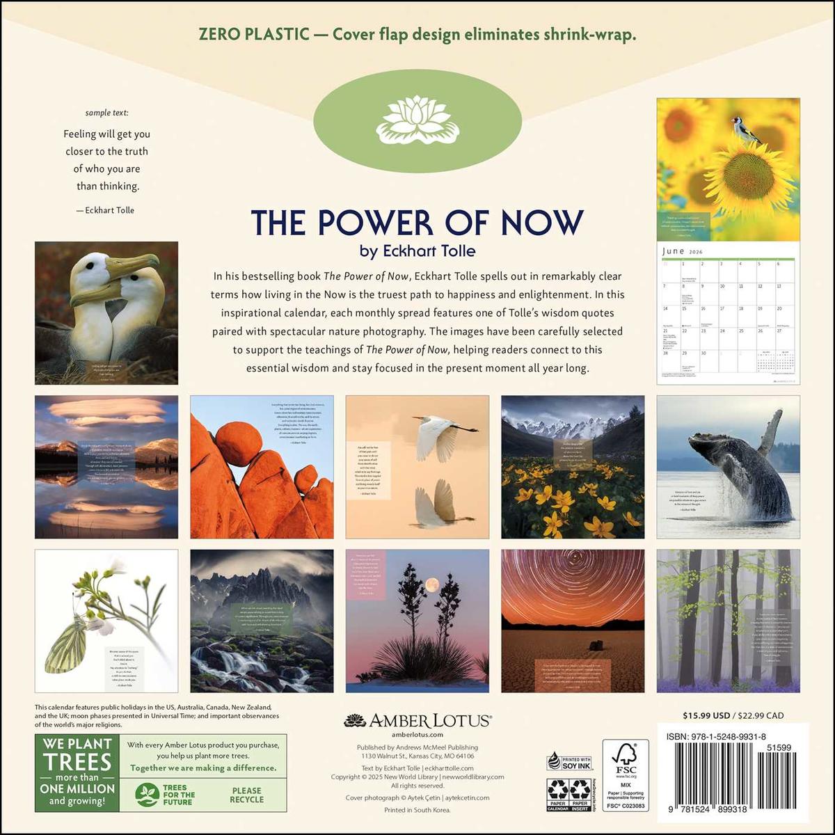 2026 The Power of Now Wall Calendar by Eckhart Tolle, Amber Lotus  Publishing | Merritt Bookstore