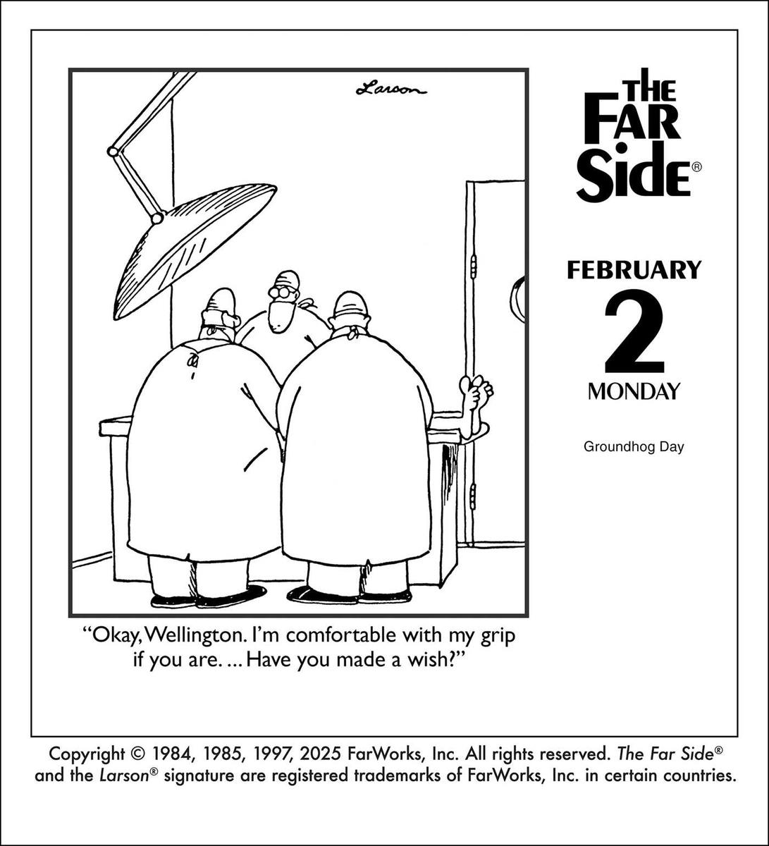 2026 The Far Side® Off-The-Wall Day-to-Day Calendar by Gary Larson