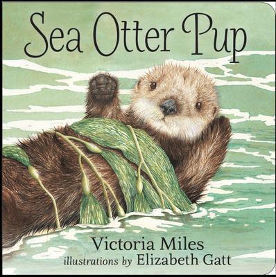 Sea Otter Pup - 