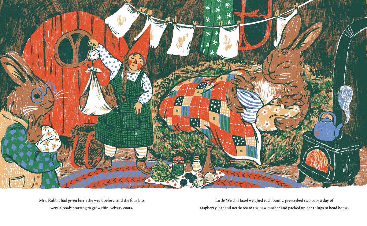 Little Witch Hazel by Phoebe Wahl | Mulberry Bush Bookstore