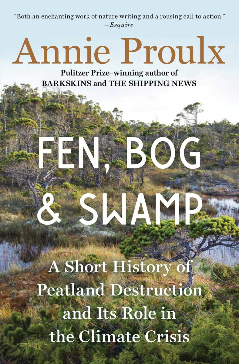 Fen, Bog and Swamp - A Short History of Peatland Destruction and Its Role in the Climate Crisis