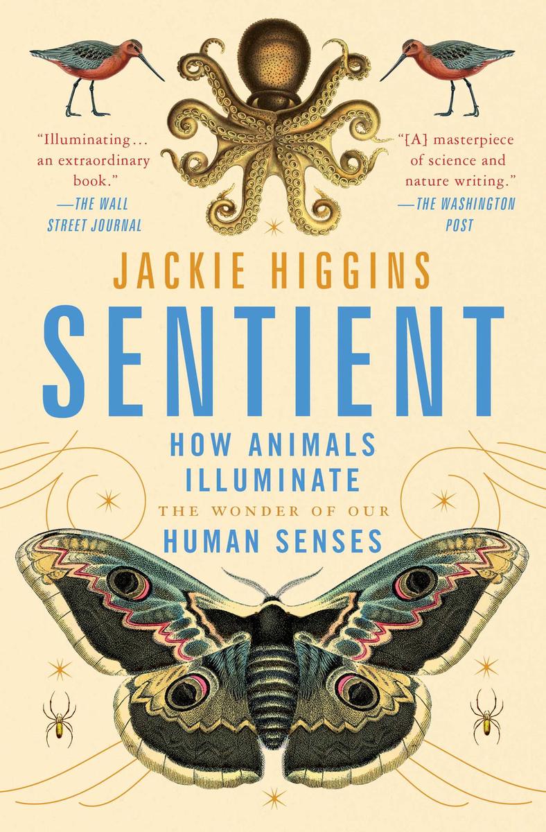 Libro sensorial Animal World