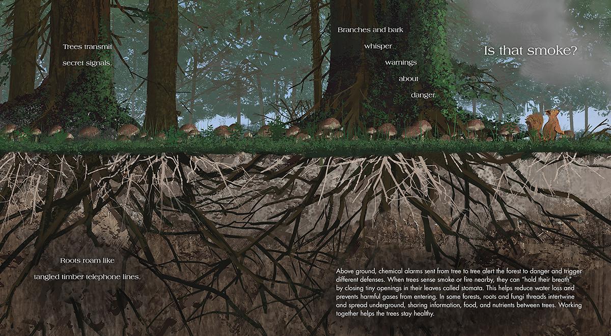 Forests by Nell Cross Beckerman, Kalen Chock | Book City In the Beach