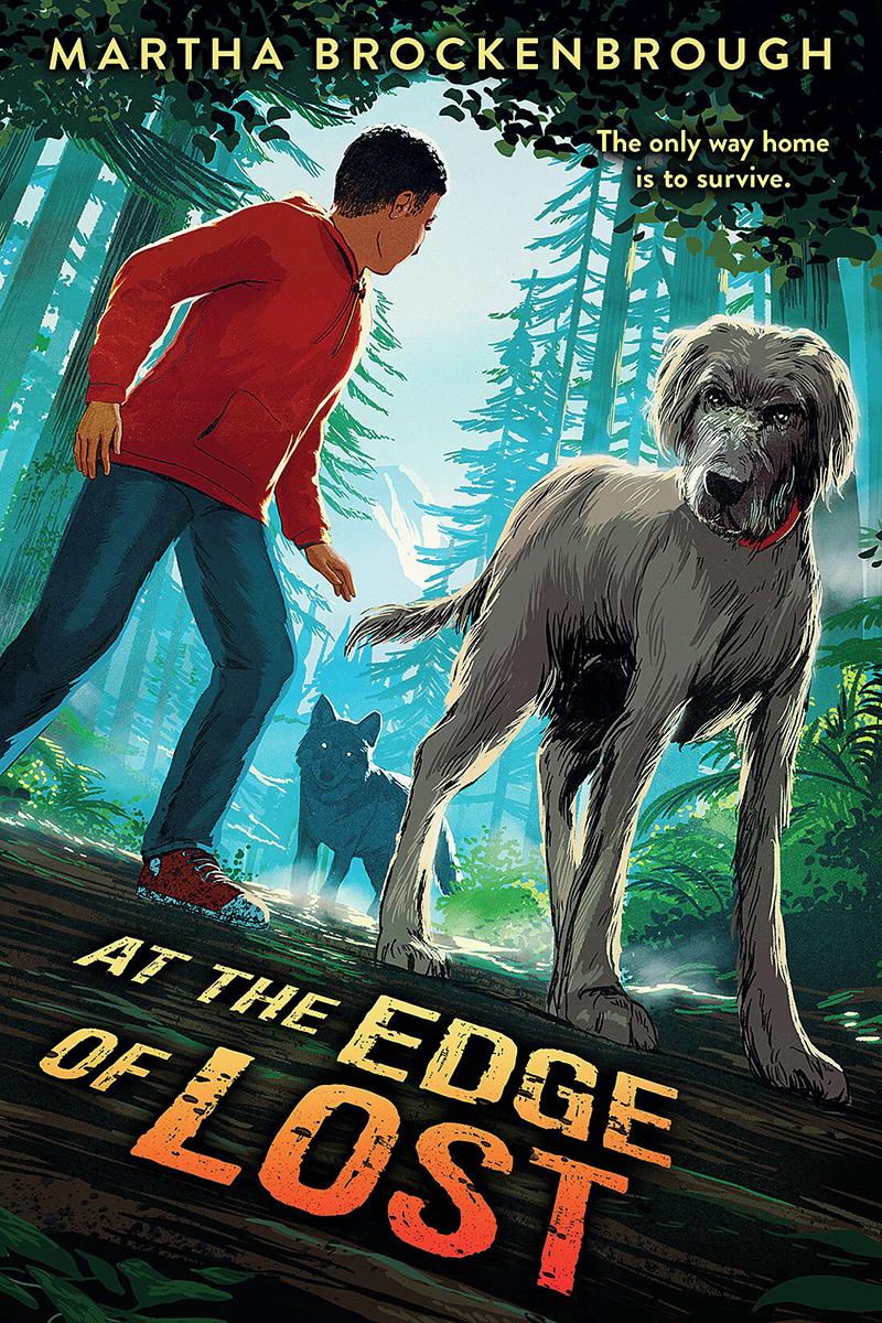At the Edge of Lost