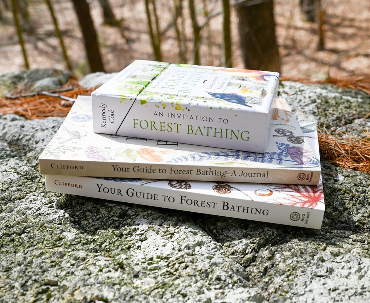 An Invitation to Forest Bathing by Lissa Kennedy | Another Story Bookshop