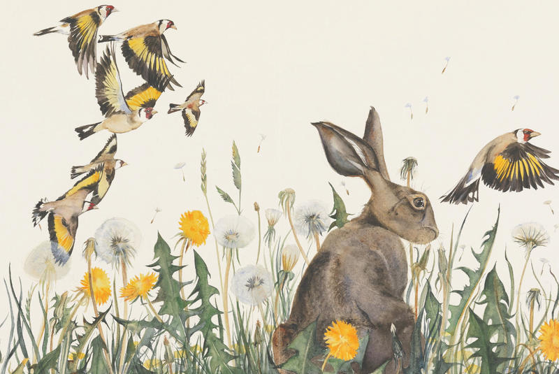 The Lost Words by Robert Macfarlane, Jackie Morris | Munro's Books