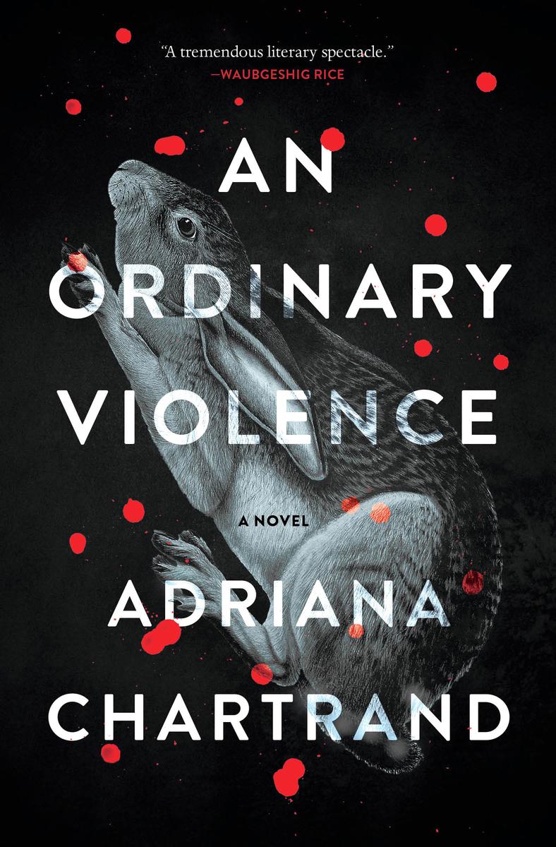 An Ordinary Violence - A Novel