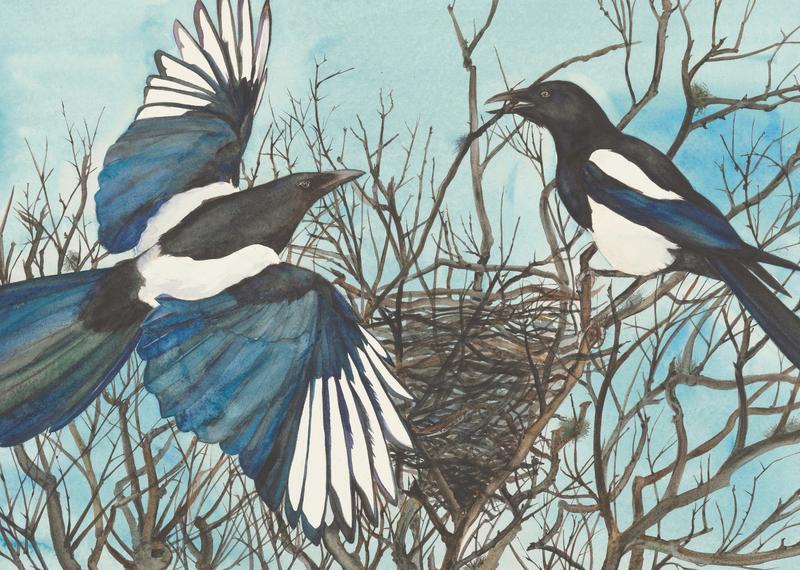 The Lost Words Magpie Puzzle by Robert Macfarlane, Jackie Morris