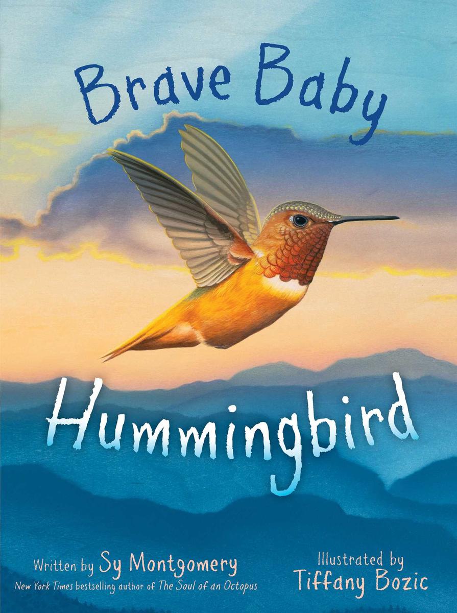 Brave Baby Hummingbird - 