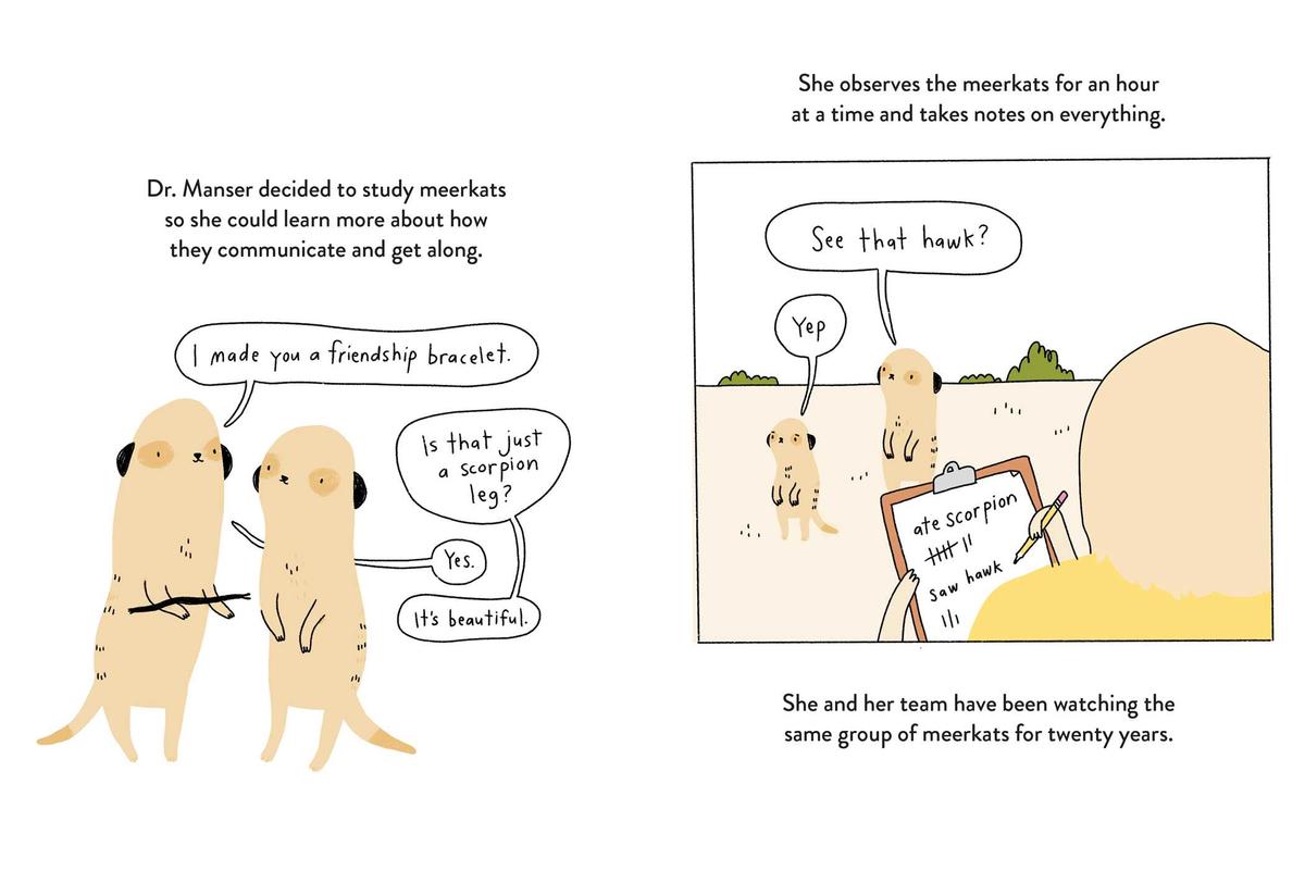 How Do Meerkats Order Pizza? by Brooke Barker | White Whale Bookstore