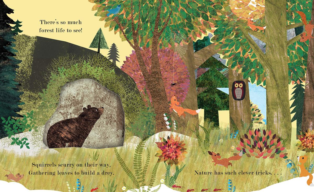Home by Britta Teckentrup | Highland Books