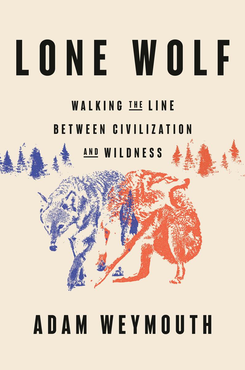 Lone Wolf: Walking the Line Between Civilazation and Wildness