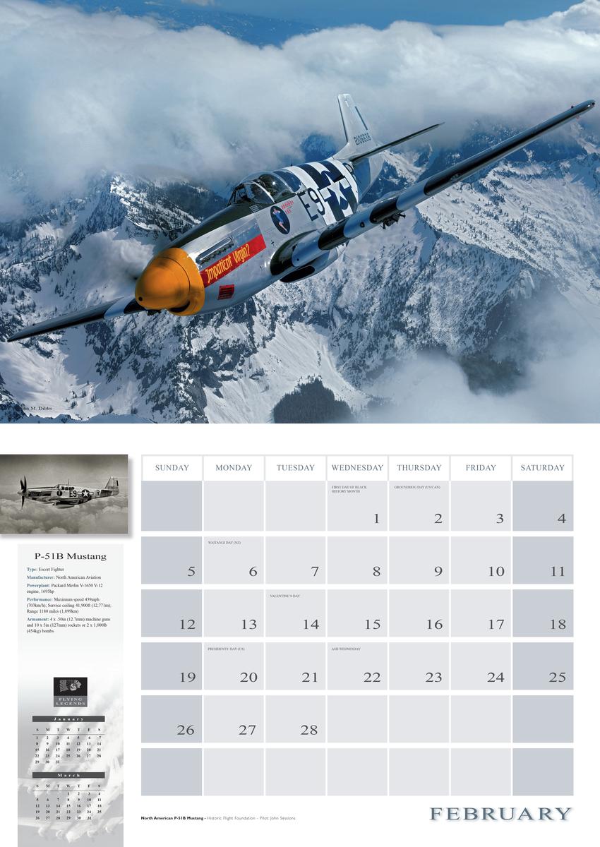 2023 Flying Legends 2023 by John M Dibbs | Bolen Books