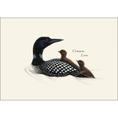 Boxed Notecards- Loon Assortment