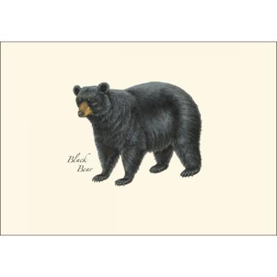 Boxed Notecards- Mammal Assorted