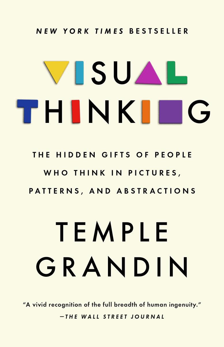 Visual Thinking - The Hidden Gifts of People Who Think in Pictures, Patterns, and Abstractions