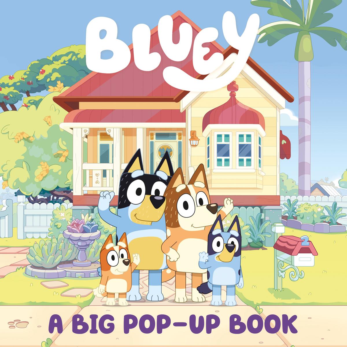 "Bluey: Grannies" Paperback Book (Bluey Series) - Very Good Condition - For Young Readers