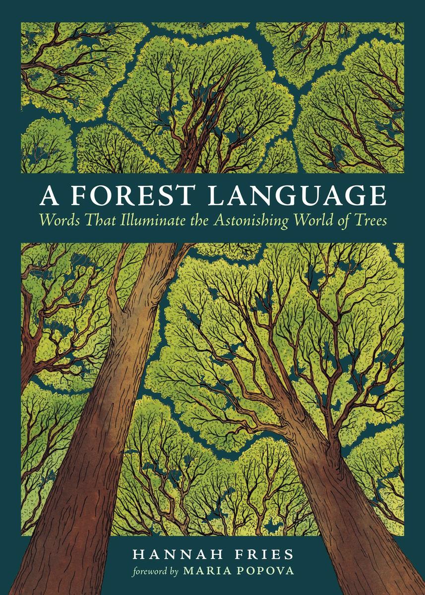 A Forest Language: Words That Illuminate the Astonishing World of Trees