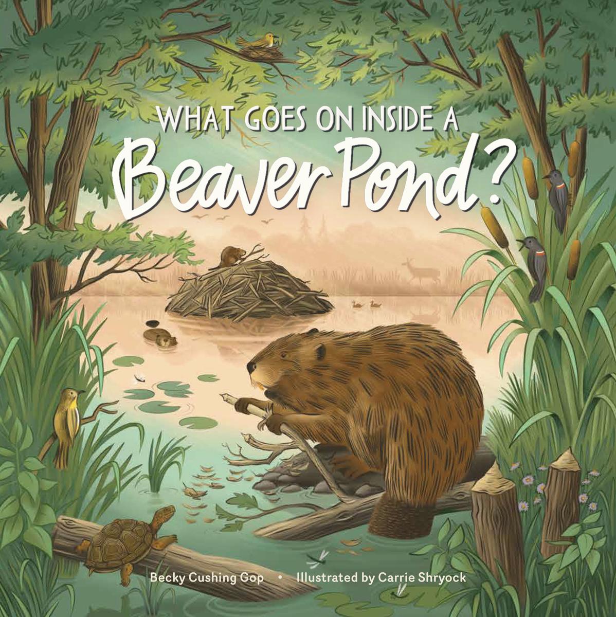 What Goes on inside a Beaver Pond? - 