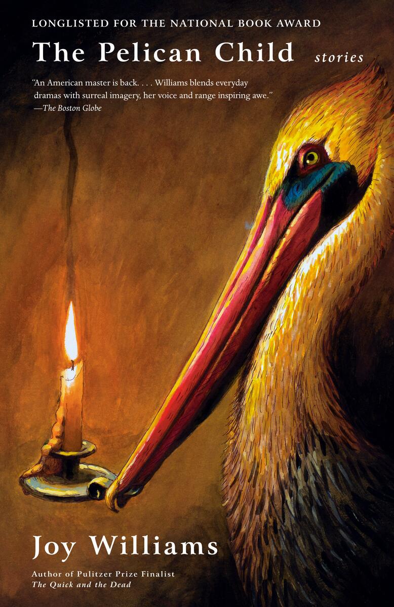 The Pelican ChildStories Joy Williams  